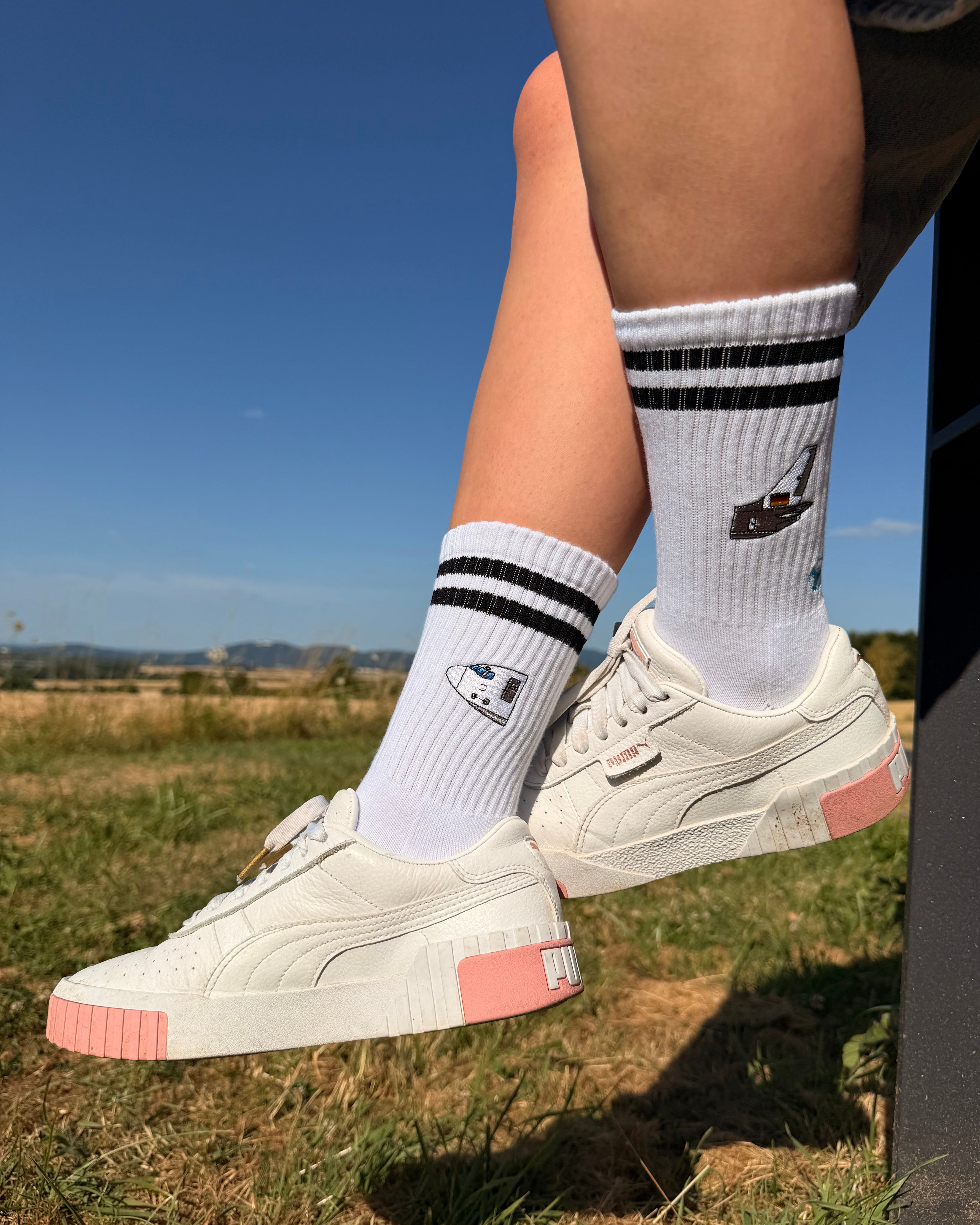 Nose to Tail - Socks