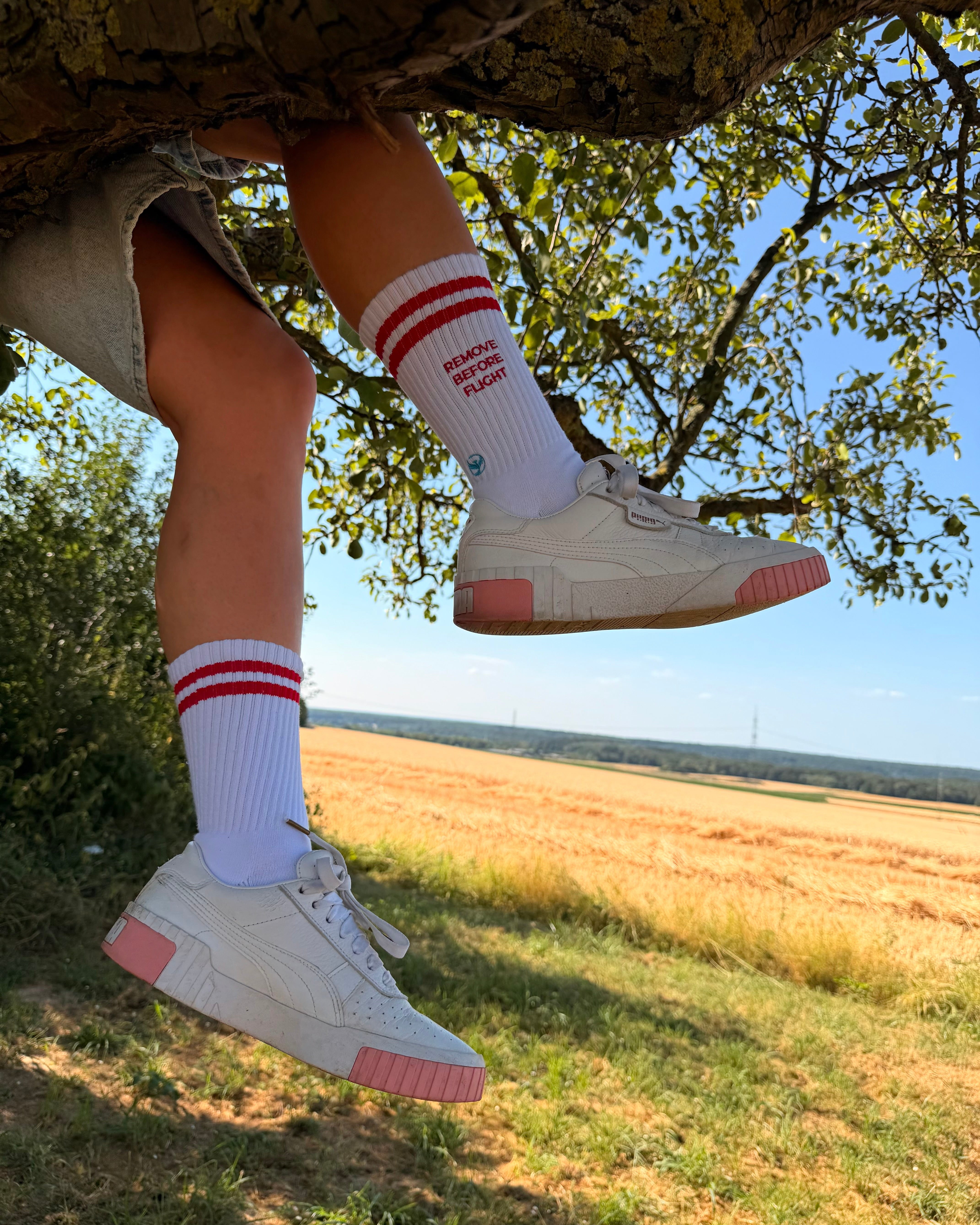 REMOVE BEFORE FLIGHT - Socks