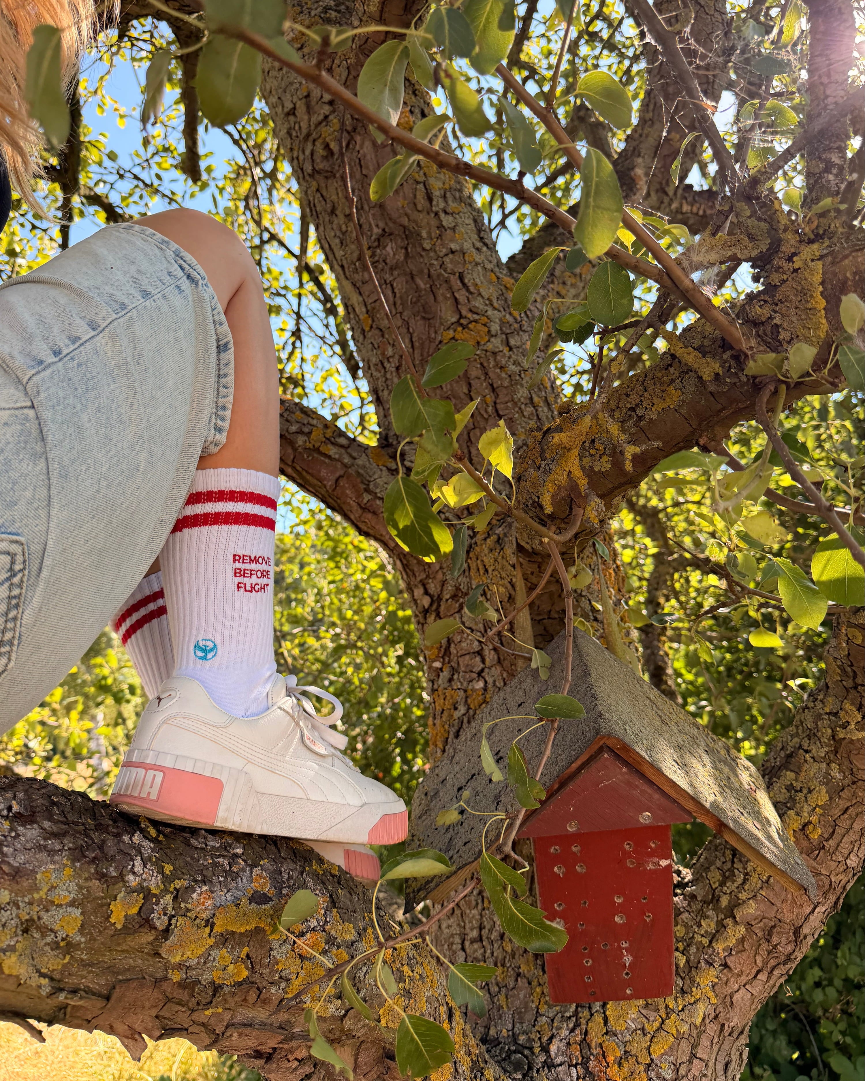 REMOVE BEFORE FLIGHT - Socks