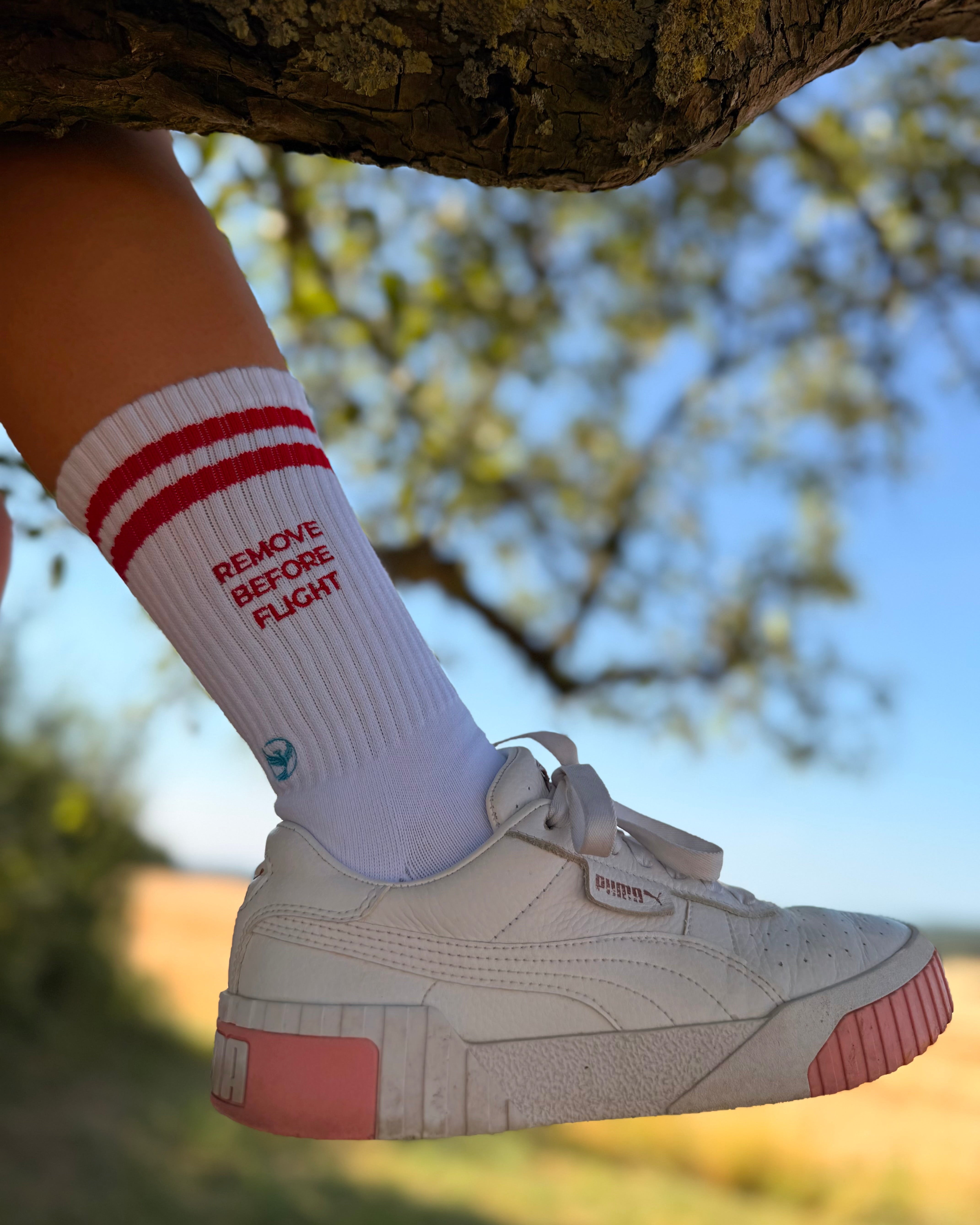 REMOVE BEFORE FLIGHT - Socks