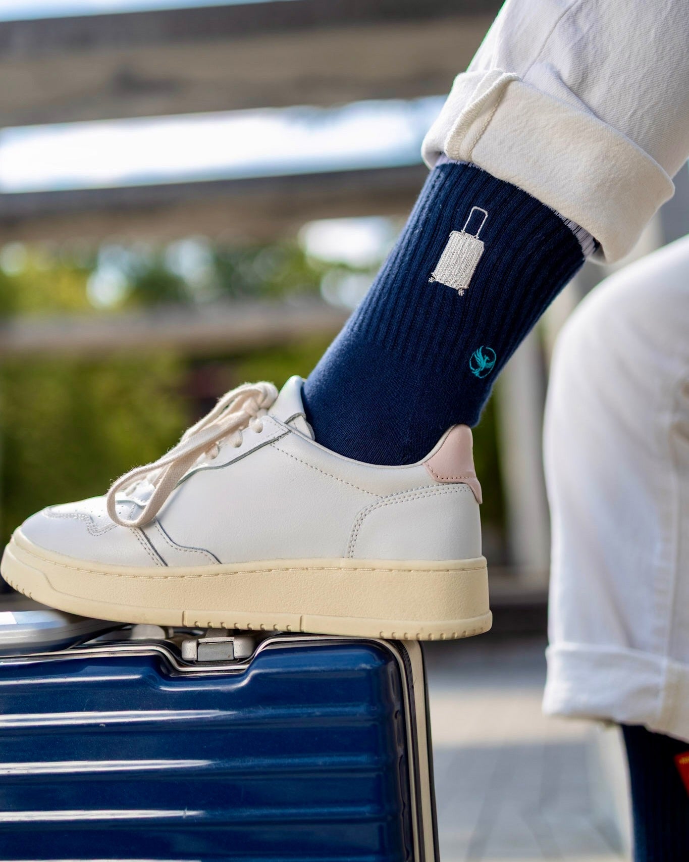 Travel Essentials - Socks